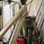 Brown GIANT mountain bike for sale. 12 thumbnail