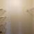 One bedroom available just before the holidays! 14 thumbnail