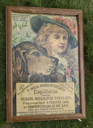 T. Hill Mansfield's Capillaris Advertising Sign 1
