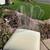 Vintage Mid Century Hill Manufacturer Lucite & Chrome Swivel Bar Stools 3 thumbnail