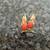 Vintage Cockatiel Coral Brooch Pin 1 thumbnail