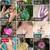 Collectibles, Jewelry, Clothes, Toys, Hello Kitty 7 thumbnail