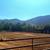 Horse Boarding 4 thumbnail