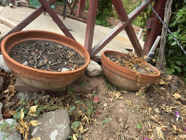 Flower pot 1