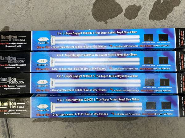 Hamilton Compact Fluorescent Bulbs 1