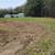 Land Clearing. Forestry Mulching. Bush Hogging 13 thumbnail