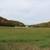 1/2 Acre Building Site: Plum City, Wisconsin 9 thumbnail