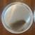 Pair of Leonard Silverplate Tray Platters with Decorative Etching 5 thumbnail