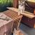 FREE KITTENS 1 thumbnail
