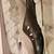 Women's Easy Spirit Shoes Size 11 1 thumbnail