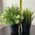 Plants 3 thumbnail