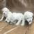 Mini schnauzers 5 thumbnail