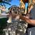 Schnoodle Puppies 5 thumbnail