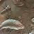 After Gunnar Nylund (Swedish, 1904-1997) Bronze Relief Art - "Fish" 2 thumbnail