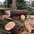 JOSE TREE CARE  SERVICE___________________________ALL SAN JOSE ,N 14 thumbnail