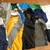 Lot Boys Winter/Spring Clothes size 14/16/18/20 1 thumbnail