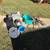 milking machine extras included 4 thumbnail