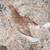 Laying Hens 4 thumbnail