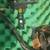 Compound Bow by Martin 2 thumbnail