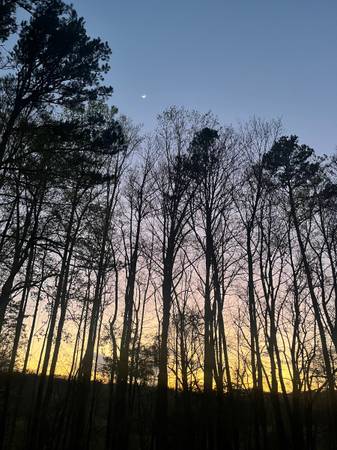 $560,000 LAND Tryon Nc Hunting Country Pacolet River FETA  trails Equestrian Farm (Tryon)64029205921154122