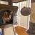 Kitten 3 thumbnail
