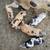 Kunekune Piglets 4 thumbnail