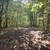 Custom Atrium Ranch on 38.4+/- Acres with Three Stocked Ponds 23 thumbnail
