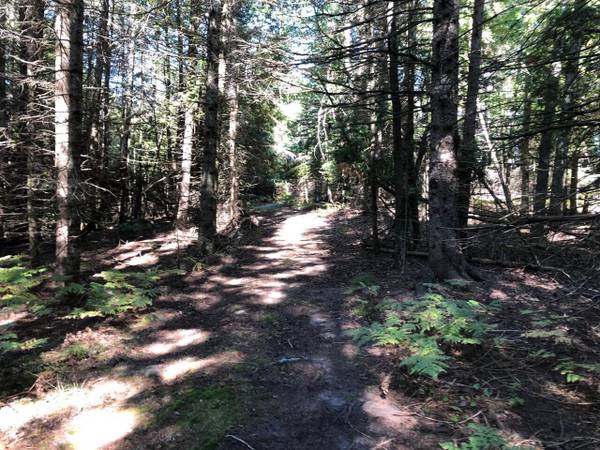 $199,000 / 770140ft2 - 17.68 Acres of Vacant Land on the Crooked River (Alanson)64037723327361123