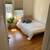 CASTRO / DUBOCE PARK – Room Available Oct 1, 2025 2 thumbnail