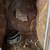 Reptile enclosure 4 thumbnail