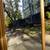 Gold Framed Full Length Rectangular Mirror 6 thumbnail