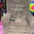 Power Lift Recliner 1 thumbnail