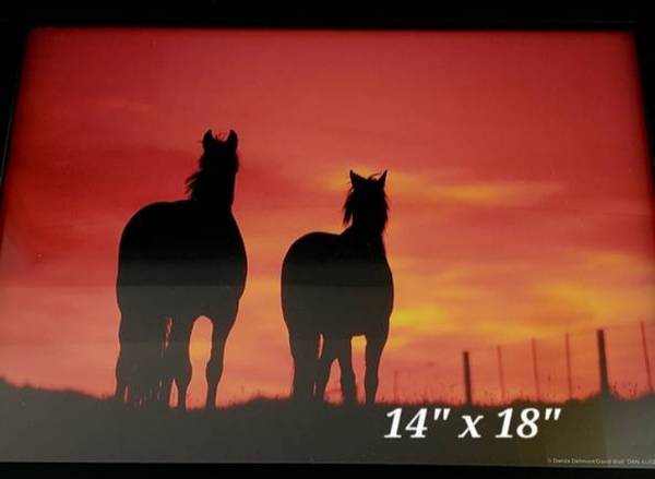 Wall Art Horse Picture 1