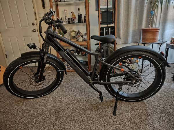 Radrover 6 Plus EBIKE 1