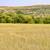 Rewarding Missouri Riverfront Acreage 13 thumbnail