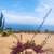 EXQUISITE HOUSE ON A CLIFF 5 thumbnail