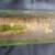 Vintage Porfidio Tequila cactus bottle (empty) 4 thumbnail