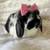 Holland Lops bunny rabbit 4 thumbnail