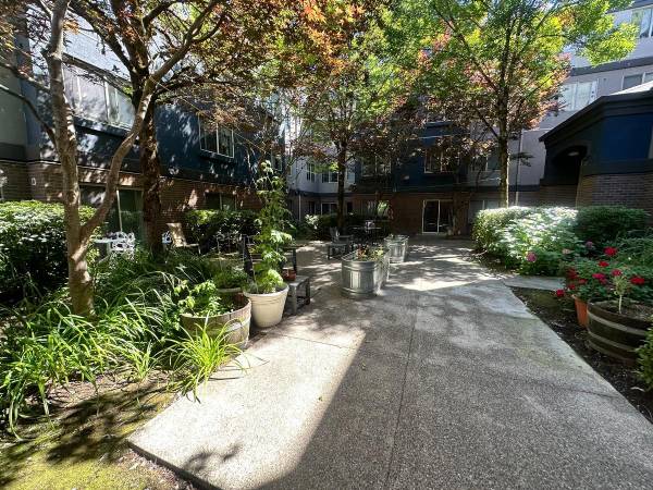 $350 / 1br - 441ft2 - Abundant windows for added light Featured amenity, Electric stove (Olympia)63688514464131124
