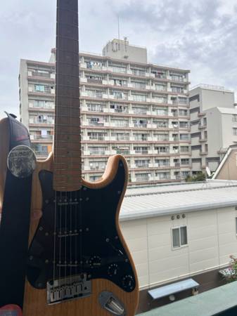 Fender Lite Ash Stratocaster 1