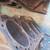 #010 350 chevrolet  block 4 bolt main,cleaned and checked, needs mach 4 thumbnail
