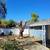 Yard Cleanup, Tree removal, landscaping, maintenance 1 thumbnail