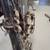 Keilwerth New King Alto Saxophone 8 thumbnail