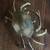 Brass Crab figurine ashtray 5 thumbnail