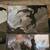 The Elder Scrolls/Skyrim Prints 5 thumbnail