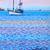 Alex Nizovsky - San Francisco Bay Sunset - Landscape Painting 30"x24" 6 thumbnail