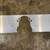 Chevy LS engine front mounting plate 2 thumbnail