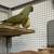 Parrot cage n parrot too $800 4 thumbnail