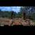 Deer hunting, axis,blackbuck 4 thumbnail