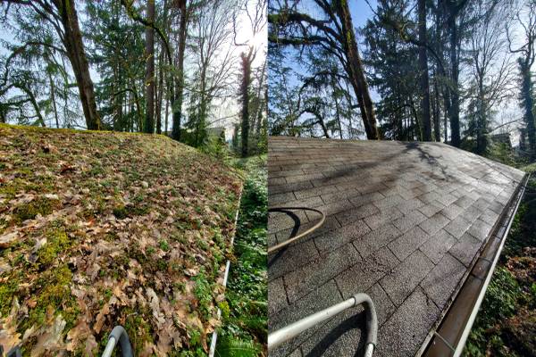 Mossy Roof? Expert Roof & Gutter Cleaning in Portland & Vancouver 1